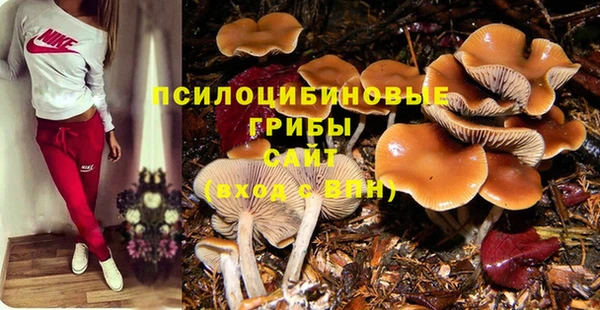 PSILOCYBIN Волосово